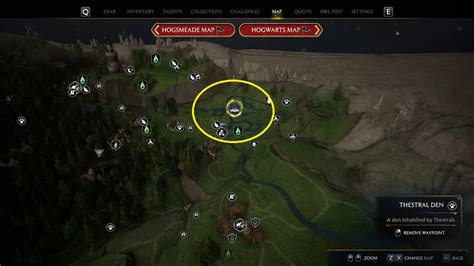 hogwarts legacy lebenstrank|Thestral Location and Shiny Guide